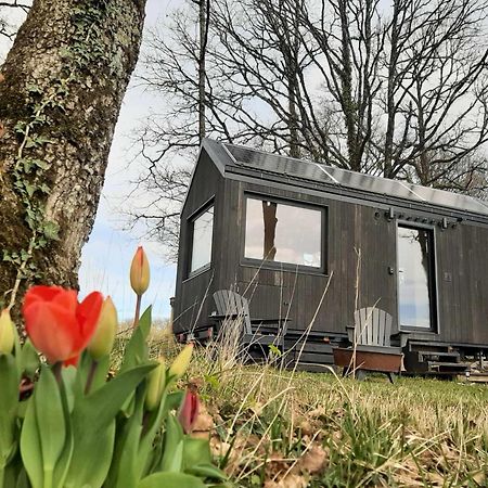 L'Envolee Ecolodge, Tiny House Au Coeur Des Vignes Loches-sur-Ource Extérieur photo