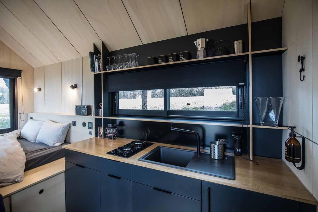 L'Envolee Ecolodge, Tiny House Au Coeur Des Vignes Loches-sur-Ource Extérieur photo