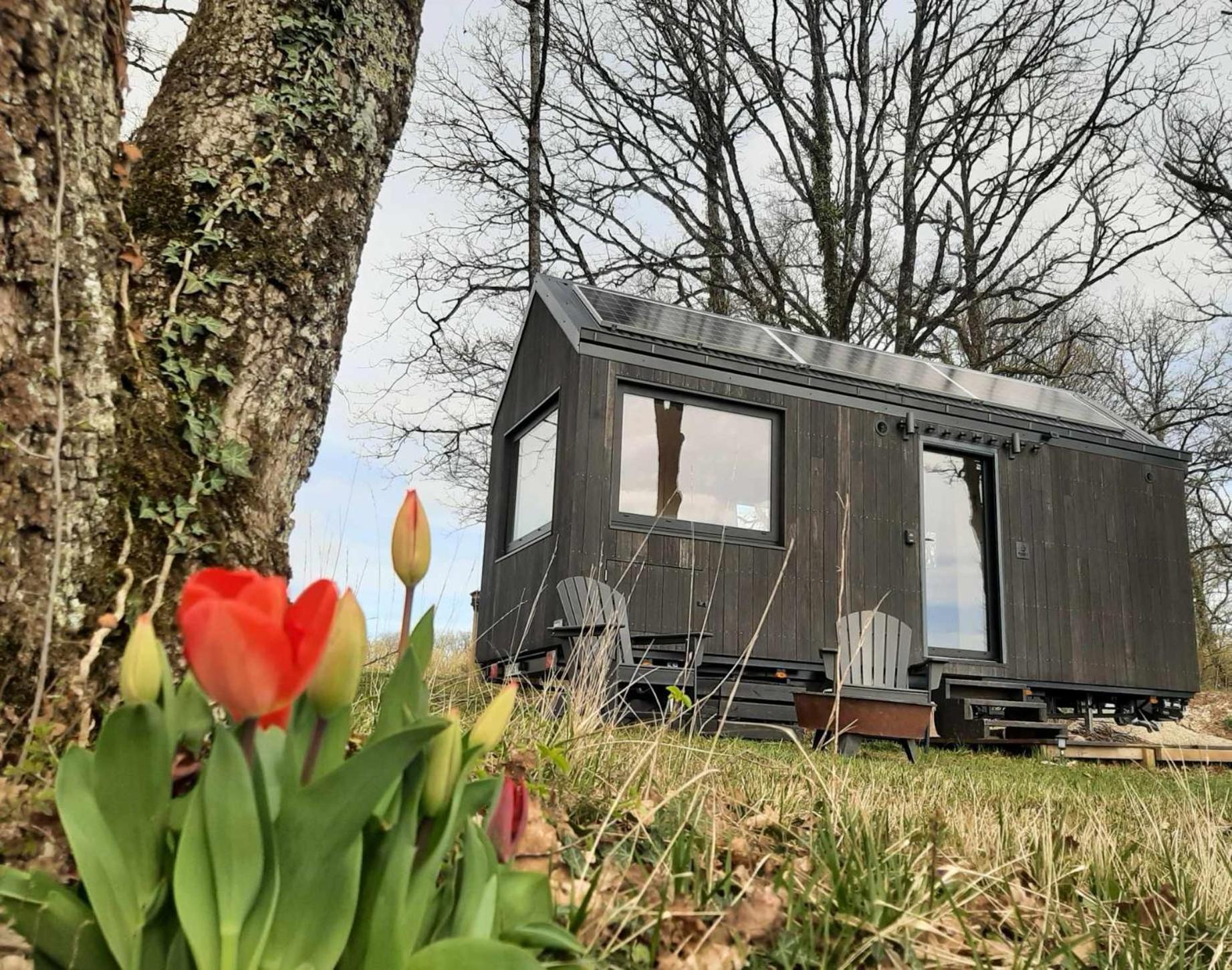 L'Envolee Ecolodge, Tiny House Au Coeur Des Vignes Loches-sur-Ource Extérieur photo