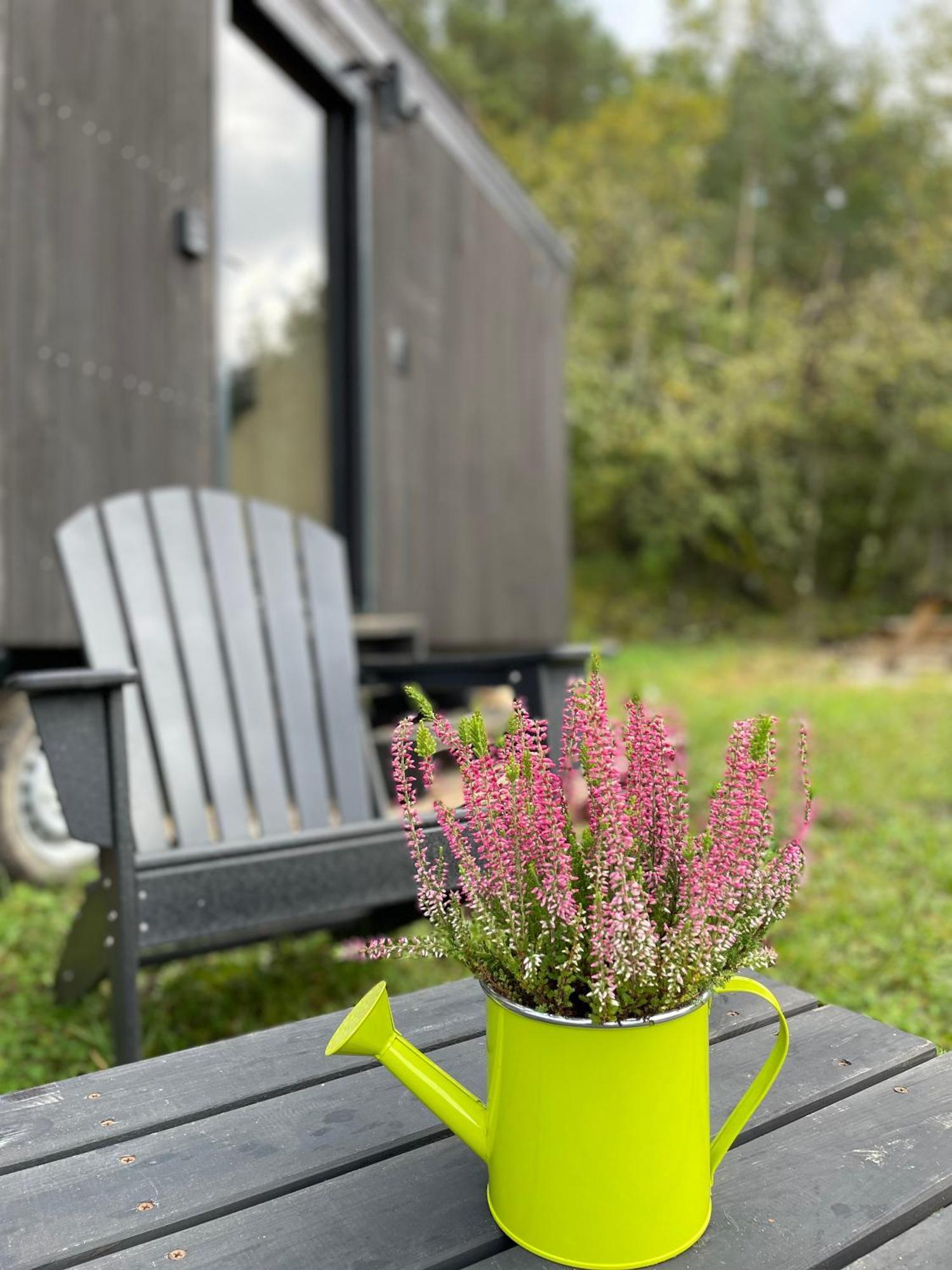 L'Envolee Ecolodge, Tiny House Au Coeur Des Vignes Loches-sur-Ource Extérieur photo