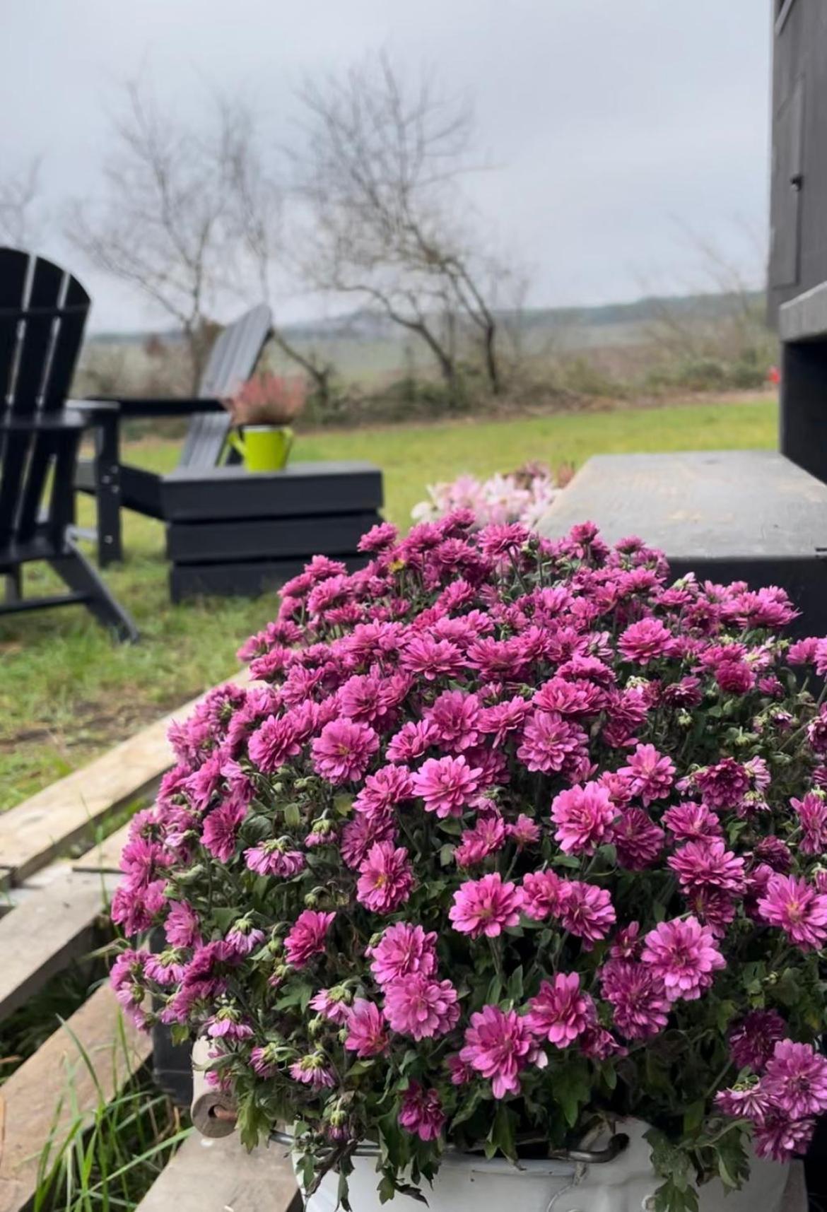 L'Envolee Ecolodge, Tiny House Au Coeur Des Vignes Loches-sur-Ource Extérieur photo